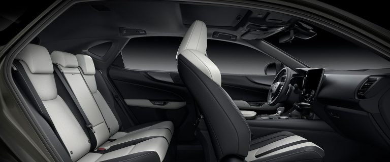 Lexus NX 350 F Sport - Ảnh 11