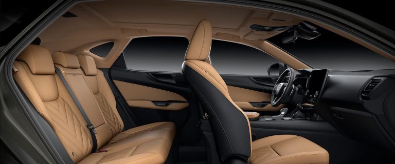 Lexus NX 350h - Ảnh 12