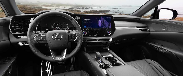 Lexus RX350h Premium - Ảnh 9